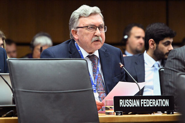 Ulyanov's comments on Iran-US negotiations