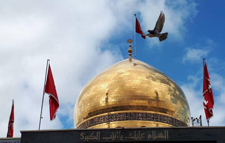 خطبه‌هایی که یادآور بلاغت نهج‌البلاغه بود؛فلسفه جمله ما رایت الا جمیلا
