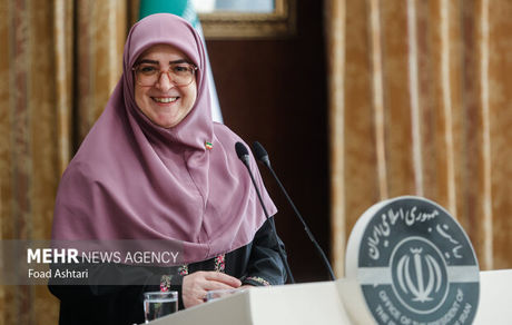 مهاجرانی: ۶۰ درصد درآمد طرحهای مرزی صرف اشتغالزایی شد