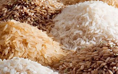 قیمت برنج در بازار کاهش می‌یابد
