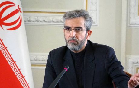 باقری‌کنی: مجازات متجاوزان ضامن صیانت از امنیت ملی است
