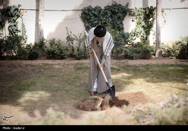 دعوت برای حضور در پویش کاشت نهال «به نام ایران، به یاد امام»